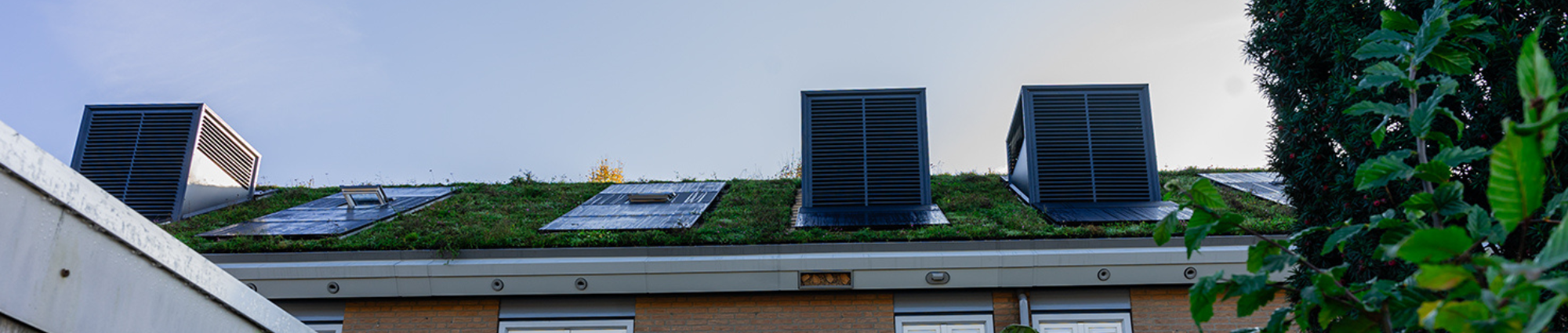 Header website - aferi roef