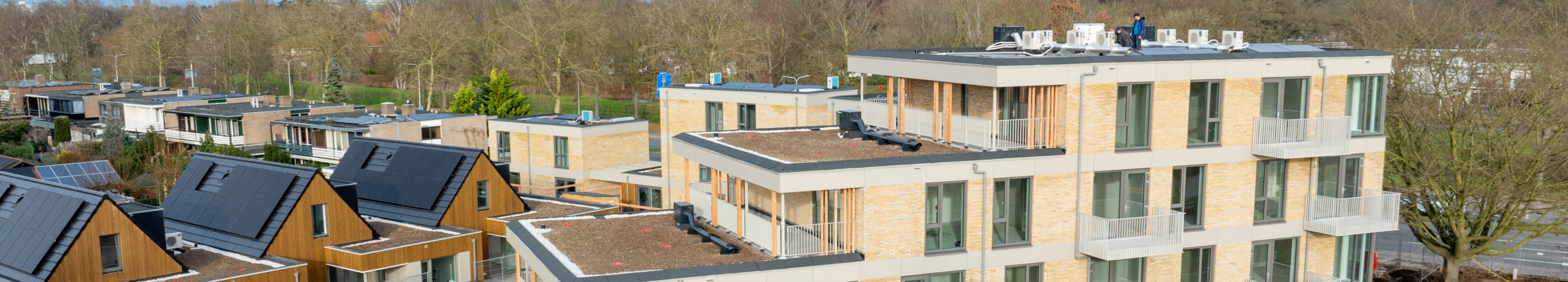 De Rielertuin - Deventer - Schoorstenen en dakkanalen