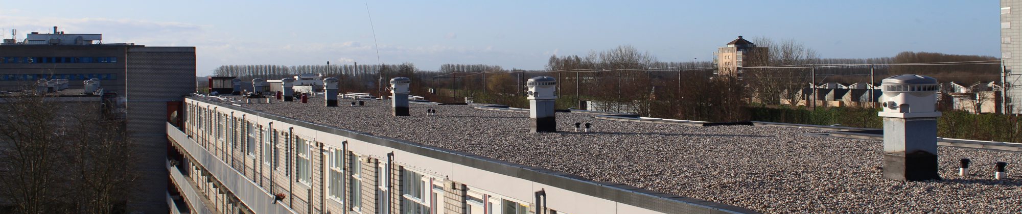 IMG_1947-scaled_2000x420_acf_cropped