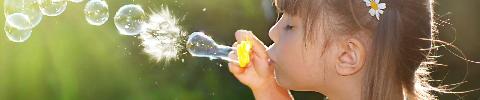 shutterstock_31637824_2000x581_acf_cropped